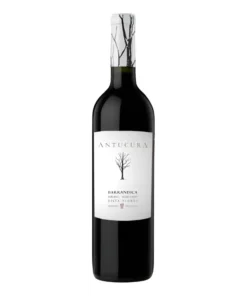 Antucura Barrandica Malbec
