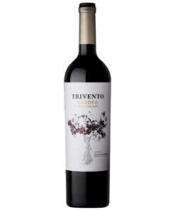 Vino Trivento Gaudeo Malbec Paraje Altamira