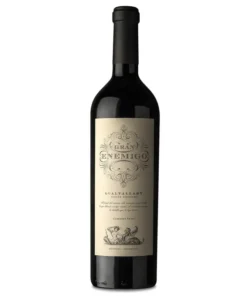 Gran Enemigo Cabernet Franc Gualtallary 2021