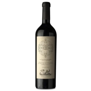 Gran Enemigo Cabernet Franc Gualtallary 2021