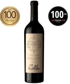 Gran Enemigo Cabernet Franc Gualtallary 2019