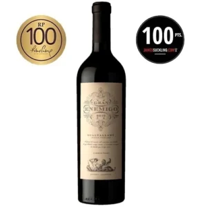 Gran Enemigo Cabernet Franc Gualtallary 2019