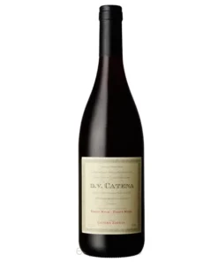 Dv Catena Pinot Pinot