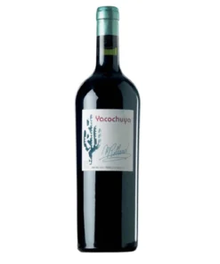 Yacochuya Malbec