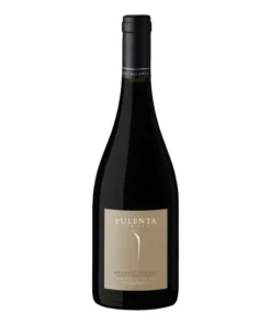 Pulenta Estate Malbec Orgánico