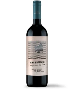 Juan Ubaldini La Consulta Merlot