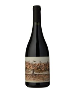 Almacén de la Quebrada Pucará Malbec 2020